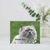 Cute Grijze Kitten Blauwe Ogen Foto Bedankt Briefkaart (Staand voorkant)