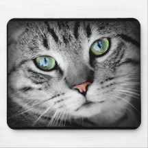 Cute Grijze Kitty Kat Gezicht Muismat