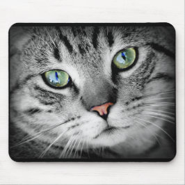 Cute Grijze Kitty Kat Gezicht Muismat