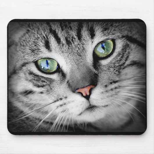 Cute Grijze Kitty Kat Gezicht Muismat (Voorkant)
