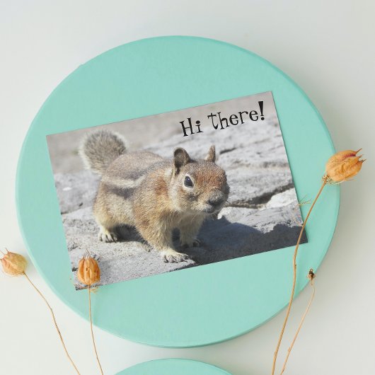 Cute Ground Squirrel Foto van Birthday Kaart