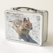 Cute Ground Squirrel Natuur Foto (Achterkant)