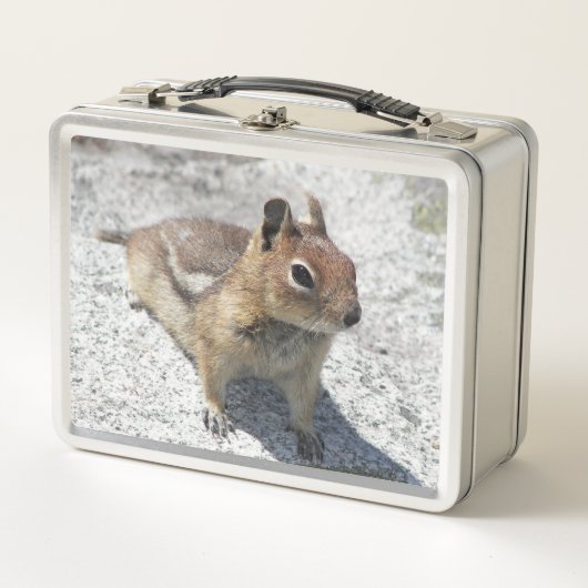 Cute Ground Squirrel Natuur Foto (Voorkant)