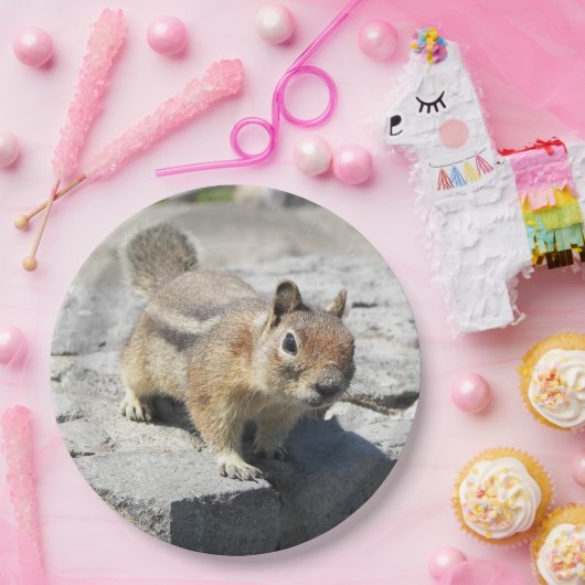 Cute Ground Squirrel Natuur Foto Papieren Bordje (Feest)