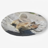 Cute Ground Squirrel Natuur Foto Papieren Bordje (Gekanteld)