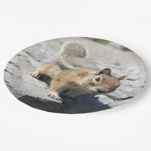 Cute Ground Squirrel Natuur Foto Papieren Bordje (Gekanteld)