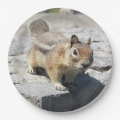 Cute Ground Squirrel Natuur Foto Papieren Bordje (Voorkant)