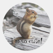 Cute Ground Squirrel Natuur Foto Ronde Sticker (Voorkant)