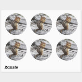 Cute Ground Squirrel Natuur Foto Ronde Sticker (Vel)