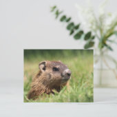 Cute Groundhog Peeking Green Grass Photo Briefkaart (Staand voorkant)