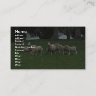 Cute Group of Sheep Eating Grass Visitekaartje