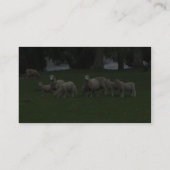 Cute Group of Sheep Eating Grass Visitekaartje (Achterkant)