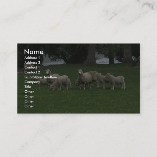 Cute Group of Sheep Eating Grass Visitekaartje (Voorkant)