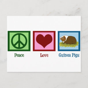 Cute Guinea Pig Briefkaart