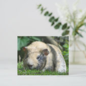 Cute Guinea Pig Briefkaart (Staand voorkant)