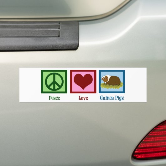 Cute Guinea Pig Bumpersticker (Op auto)