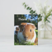 Cute Guinea Pig Dank u Briefkaart (Staand voorkant)