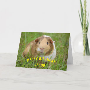 Cute Guinea Pig Eigen naam Birthday Gift Animal Feestdagen Kaart