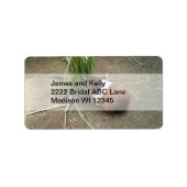 Cute Guinea Pig Etiket (Voorkant)