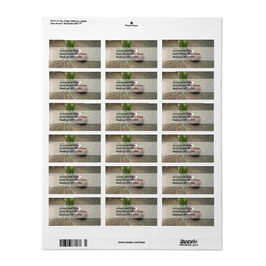 Cute Guinea Pig Etiket (Full Sheet)