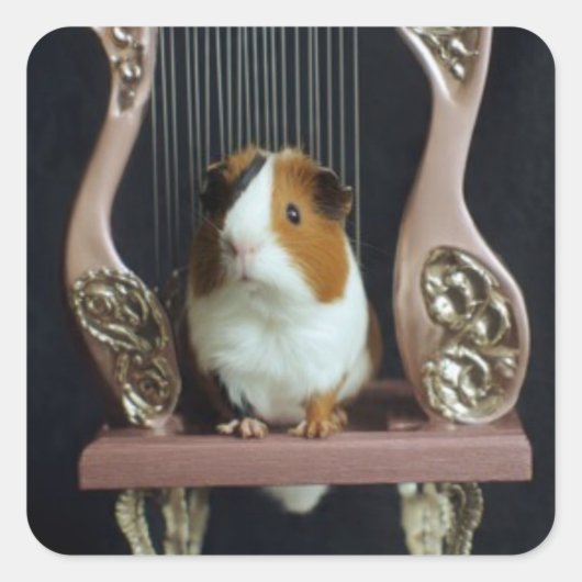 Cute Guinea Pig Harp Sticker (Voorkant)