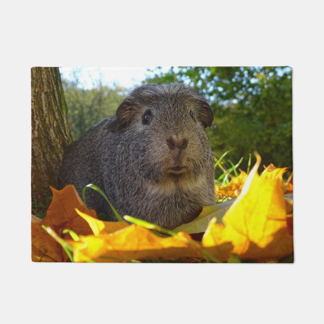 Cute Guinea Pig in Natuur Deurmat (Voorkant)