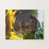Cute Guinea Pig in Natuur Legpuzzel (Horizontaal)