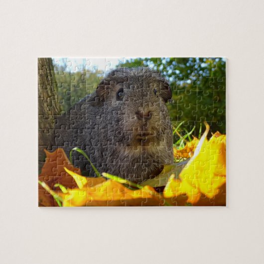 Cute Guinea Pig in Natuur Legpuzzel (Horizontaal)