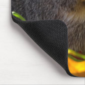 Cute Guinea Pig in Natuur Muismat (Hoek)