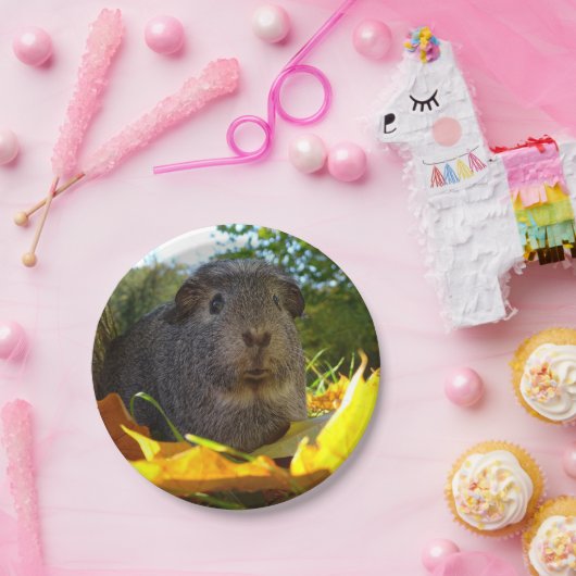 Cute Guinea Pig in Natuur Papieren Bordje (Feest)