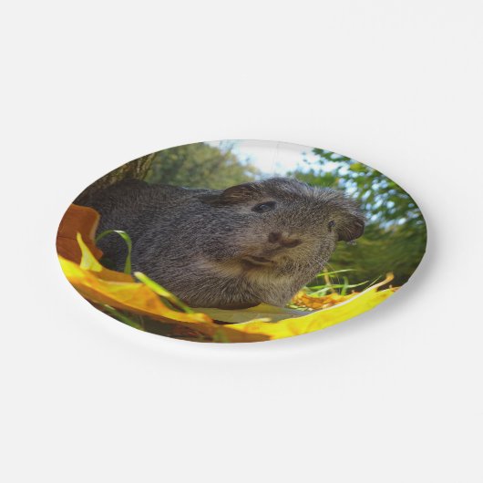 Cute Guinea Pig in Natuur Papieren Bordje (Gekanteld)