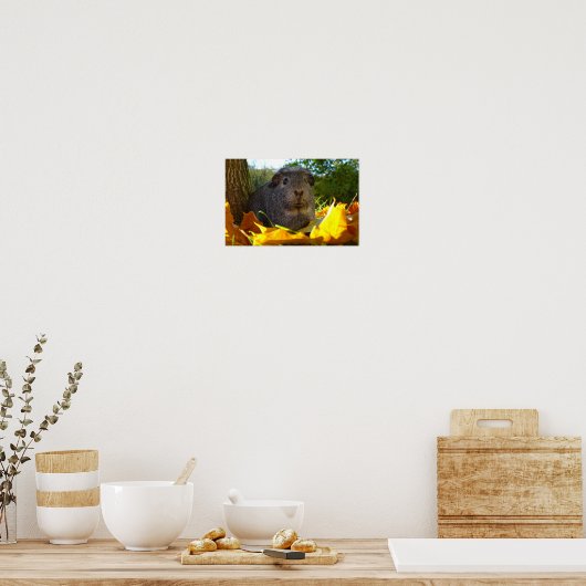 Cute Guinea Pig in Natuur Poster (Keuken)