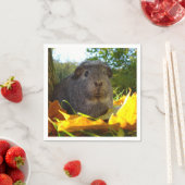 Cute Guinea Pig in Natuur Servetten (Insitu)