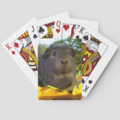 Cute Guinea Pig in Natuur Speelkaarten (Achterkant)