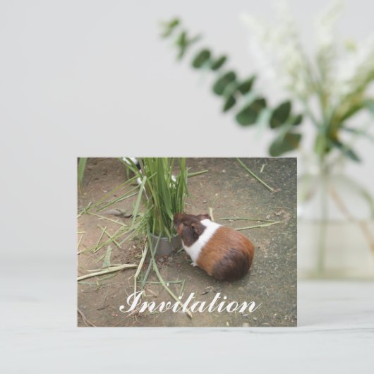 Cute Guinea Pig Kaart (Staand voorkant)
