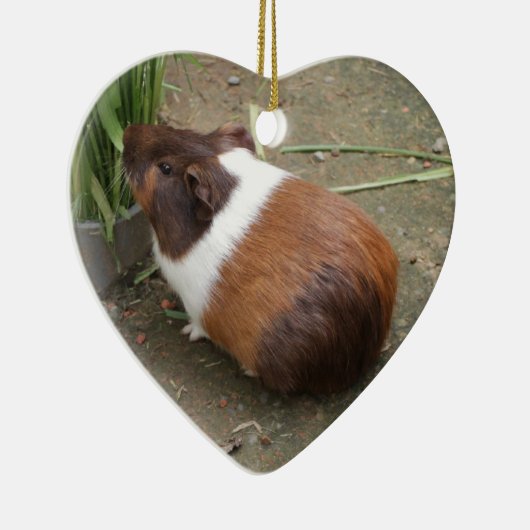 Cute Guinea Pig Keramisch Ornament (Rechts)