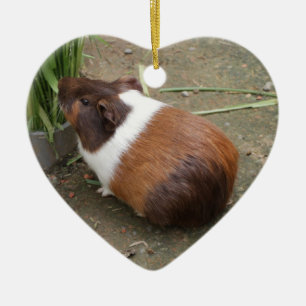 Cute Guinea Pig Keramisch Ornament