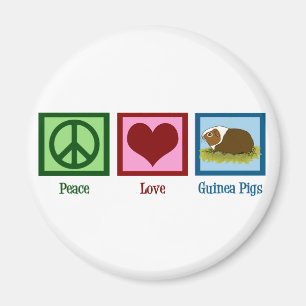 Cute Guinea Pig Magneet