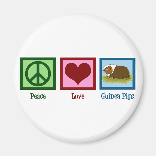 Cute Guinea Pig Magneet (Voorkant)