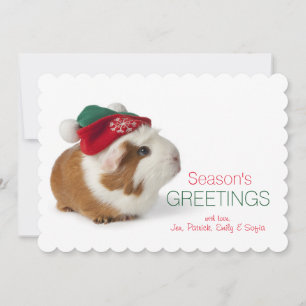 Cute Guinea Pig met Pet met Kerstmis op wit Feestdagenkaart