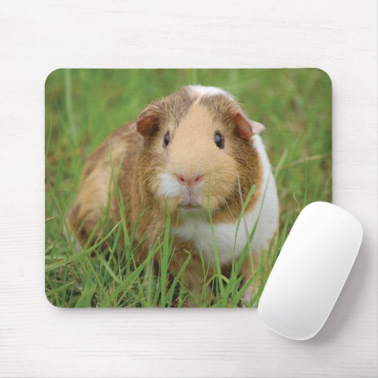 Cute Guinea Pig Muismat (Met muis)