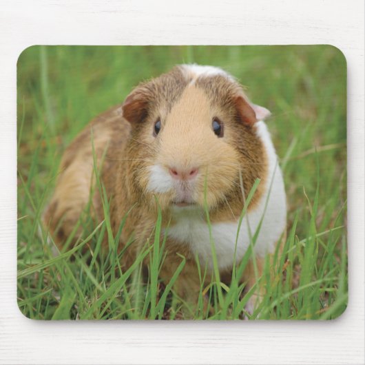 Cute Guinea Pig Muismat (Voorkant)