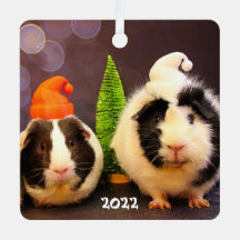 Cute Guinea Pigs in a Santa Hat