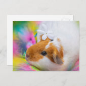 Cute Guinee Pig Pet Briefkaart (Voorkant / Achterkant)