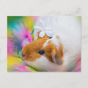 Cute Guinee Pig Pet Briefkaart