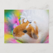 Cute Guinee Pig Pet Briefkaart (Voorkant)