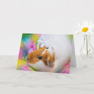 Cute Guinee Pig Pet Kaart
