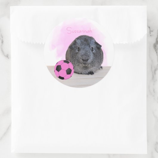 Cute Guinee Roze Voetbal Aangepaste naam Ronde Sticker (Tas)