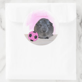 Cute Guinee Roze Voetbal Aangepaste naam Ronde Sticker