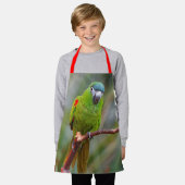 Cute Hahn's Red Shoulded Mini Macaw Parrot Bird Schort (Gedragen)